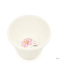 대야2로 이미지