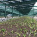 543태양광발전소 이미지