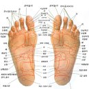 발건강마사지 이미지