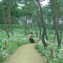 산내면사무소 이미지