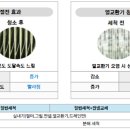 삼성세종이엔지 네이버블로그