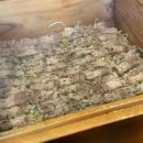 효원목장 이미지