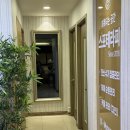 스포테라피세종 | 💆‍♂️ 광화문 내돈내산 마사지 추천! 스포테라피 세종문화회관점