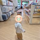 나가시마리조트 키즈존 완전 정복! 치비코 히로바 &amp; 점보 해수풀 "스파키즈" &amp; 앙팡맨 뮤지엄 생생 후기