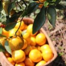 은미농장 이미지