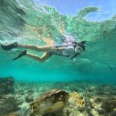 당신은 혼자가 아니 | 보홀 여자혼자 자유여행 로컬페이지 발리카삭&amp;나팔링 호핑투어 조인 후기