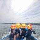 로맨틱다이브센터&리조트 | 필리핀여행/보홀 자유여행 5일차/돌조비치/모달라비치리조트 <JNP다이브센터 찐 후기>/ 2026. 1.9~1.16