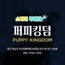 퍼피퍼피(puppy puppy) 이미지