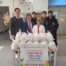 와~오리닭 이미지