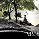 소리의 숲 이미지