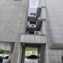 비둘기2길 이미지