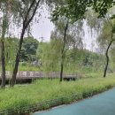 뮤렉스 | 섬유근육통 완치 후기 #1, 극심한 스트레스가 통증으로.