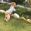 스테이복 이미지