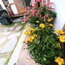 토리네민박 이미지