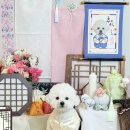 쪼꼬네유치원2 네이버블로그