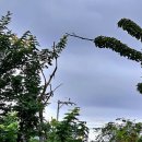 호수가 풍경소리 이미지