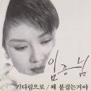 와일드 캣츠 이미지