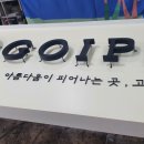 고이피오