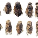 차다목장 이미지