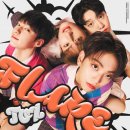 티오지 카카오 검색결과