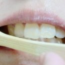 레몽하우스 이미지