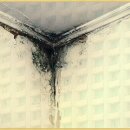 동주길 | 미추홀구 누수 해결을 위한 방수층 점검 3가지 방법