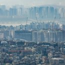 바글 세계일보