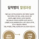 진단한의원 이미지