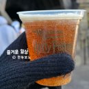 동산자동차정비 | 26년 1월 겨울, 내돈내산 우당탕탕 오사카 2박3일 여행기(3) 2일차 유니버셜스튜디오재팬 익스프레스4...