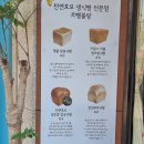 르뺑블랑 신정점 이미지