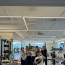 비벨라핏 이미지