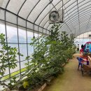 아이와농장 이미지