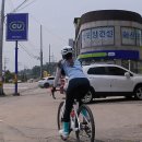 공단로가로수 이미지