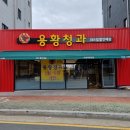 국가대표청과 이미지