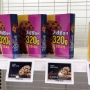 에브리솔루션
