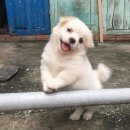 은연