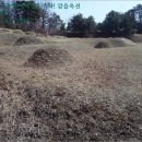 괘랑1리 마을회관 이미지