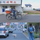 백구(10)