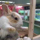 수원-0980 이미지