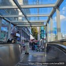 [폴프로필] 하음파파스튜디오 폴프로필 촬영 후기
