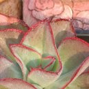 서브힐링 이미지