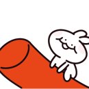 달토끼24 이미지