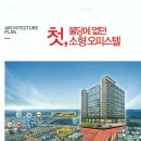 불당돈 이미지