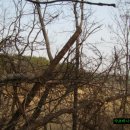 무진장주유소 이미지