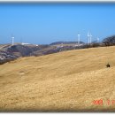 알프스장여관 이미지