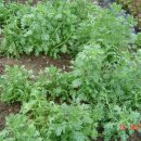 비산농장 이미지