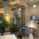 모다음식문화거리 이미지