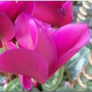 연합 농장 이미지