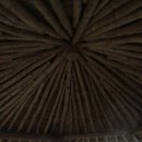 평택호길 이미지