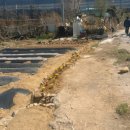 코람데오농장 | 주말농장